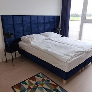 Pokój typu standard z łóżkiem king-size